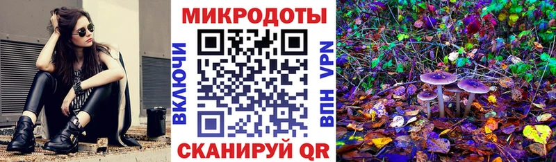 сколько стоит  Пермь  Псилоцибиновые грибы Cubensis 